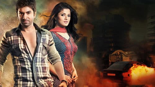 দিওয়ানা Bild 1