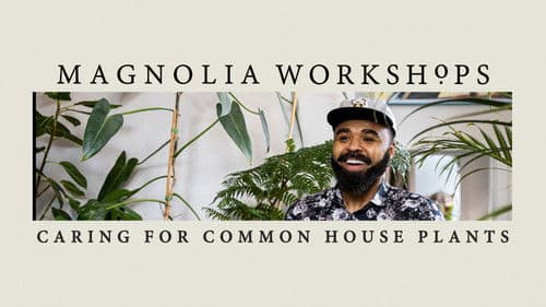 Magnolia Workshops: Caring for Common Houseplants Bild 2
