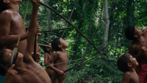 The Last Forest Bild 2