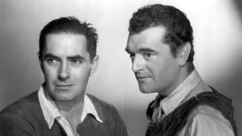 Die schwarze Rose Bild 4