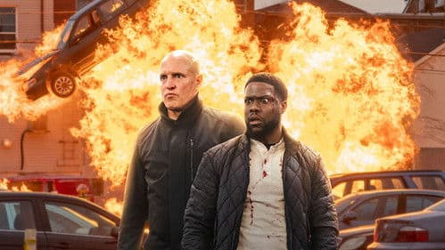 The Man from Toronto Bild 8