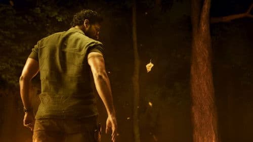 హైనదవ Bild 1