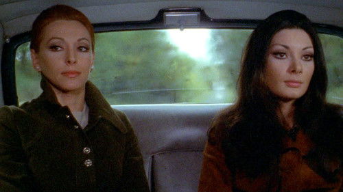 Die Farben der Nacht Bild 7