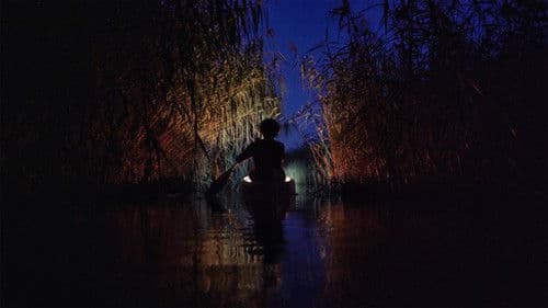 Jóreménység-sziget Bild 6