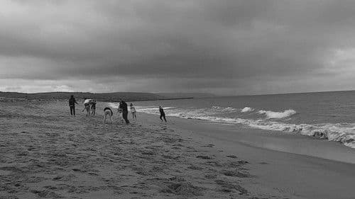 Pierre and the Pier Bild 2