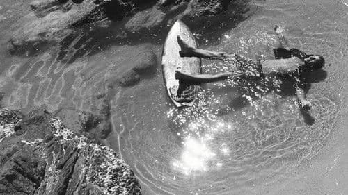 Zone Frequency Bild 2