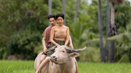 อนงค์ 2..สามสี่ชาติ Bild 5