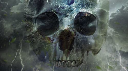Crystal Skulls Bild 1