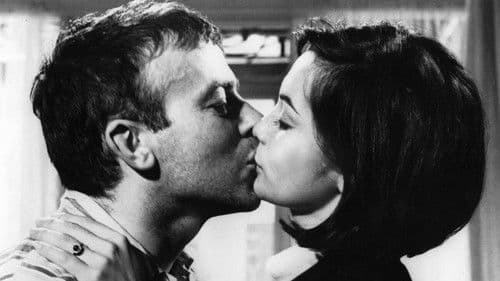 The Wild Affair Bild 7