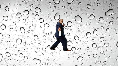 The Cleaner - Geheimagent auf Abwegen Bild 3