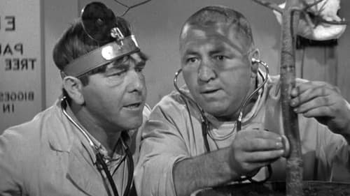 Some More of Samoa Bild 4