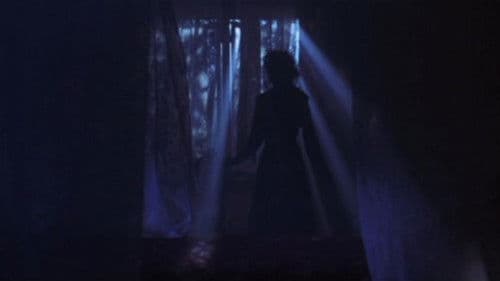 RAMPO　奥山バージョン Bild 3