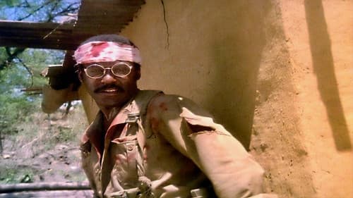 Spiel der Geier Bild 4