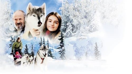 Ruf der Wildnis Bild 1