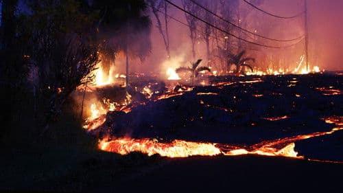 Tödliche Naturgewalten Bild 2