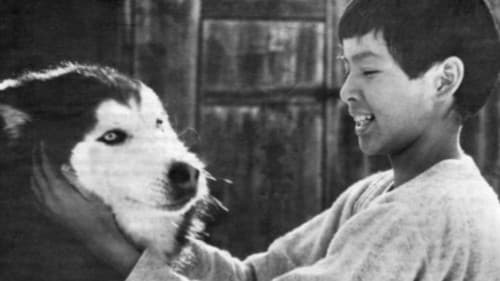 Spirit of the Wind Bild 1