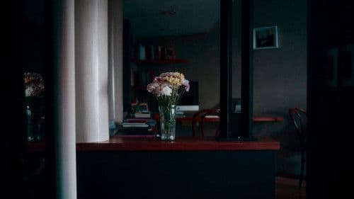 Las cosas indefinidas Bild 2