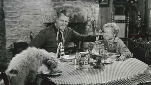 Auf verlorenem Posten Bild 1