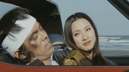 夜の演歌　しのび恋 Bild 3