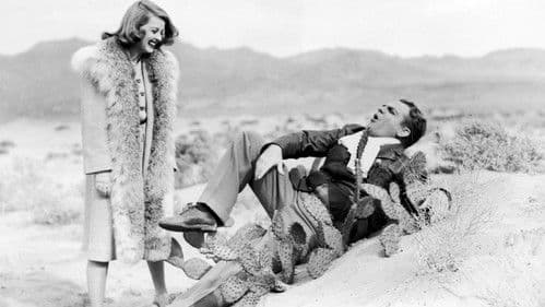 Die Braut kam per Nachnahme Bild 2