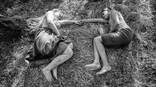 The Painted Bird Bild 2