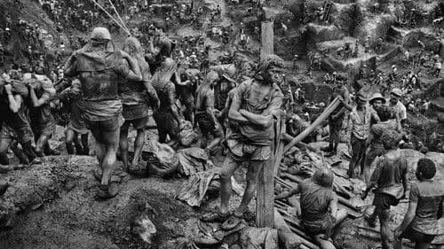 Das Salz der Erde Bild 2