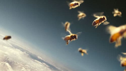 More than Honey - Bitterer Honig Bild 4