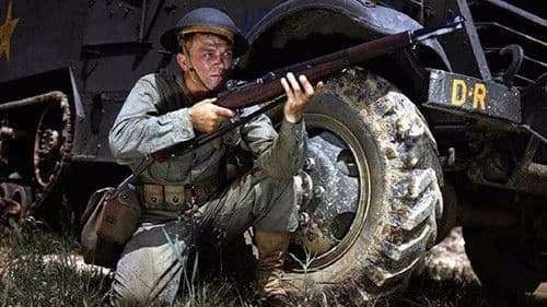 Quel maledetto ponte sull'Elba Bild 1