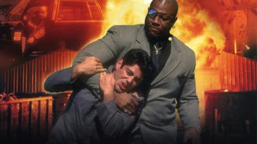 Shark in a Bottle Bild 1