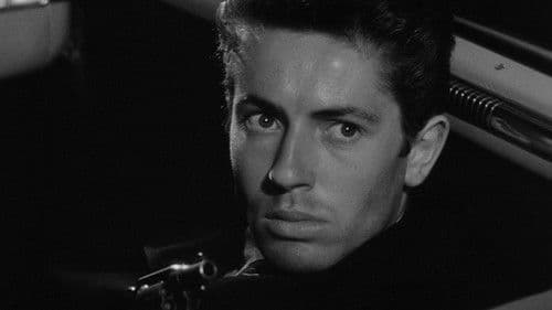 Sie leben bei Nacht Bild 2