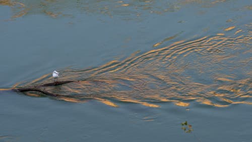 Marcia su Roma Bild 7