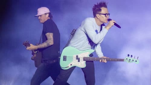 blink-182: Live at Lollapalooza Bild 8