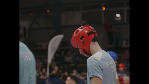 Nunca Escuche Sus Inicios Bild 3