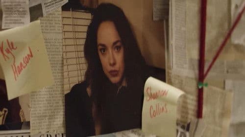 The Black Widow Killer Bild 1