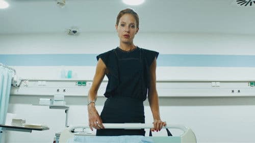 Die Goldfische Bild 6