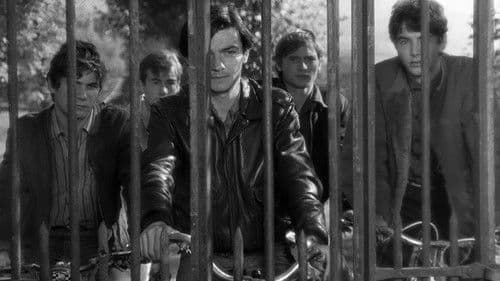 Zum Beispiel Balthazar Bild 4