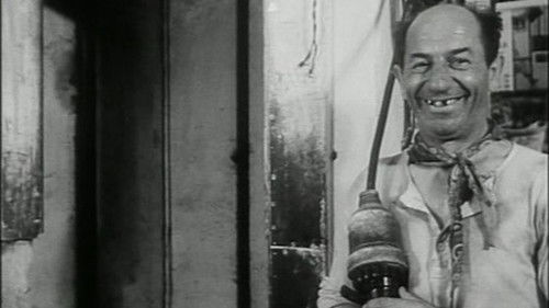 Sběrné surovosti Bild 1