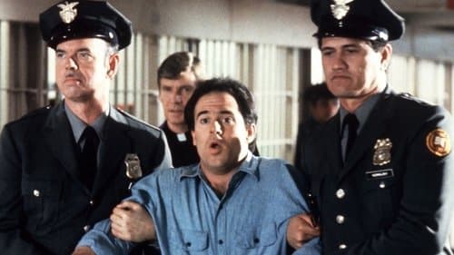 Knast Total - Hier sitzen sie richtig Bild 1