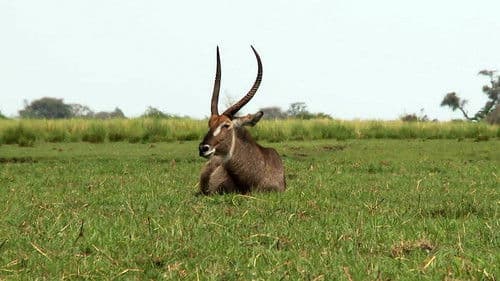 Africká abeceda Bild 1