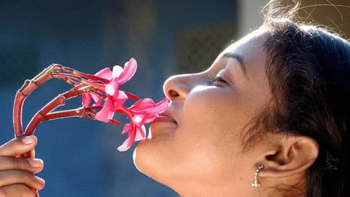 10th క్లాస్ Bild 2