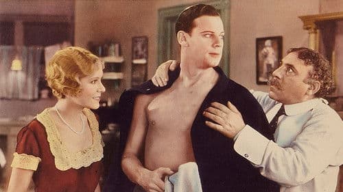 Steady Company Bild 1