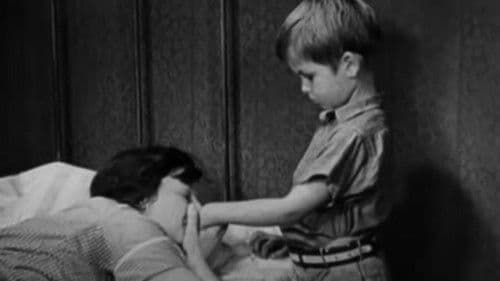 Überraschung zum Geburtstag Bild 4