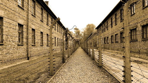 アウシュビッツ　死者たちの告白 Bild 2