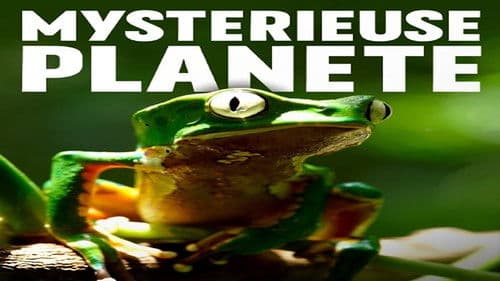 Unsere Erde der mysteriöse Planet Bild 2