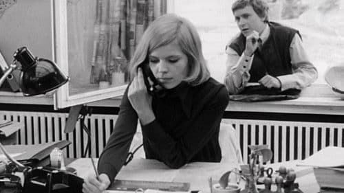 Die Taube auf dem Dach Bild 1