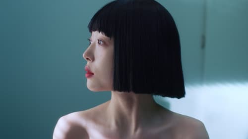 4: 클린 아일랜드 Bild 1