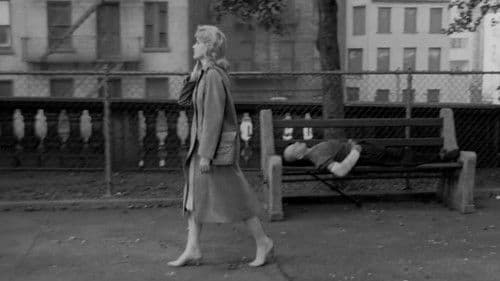 Wilde Knospen Bild 3