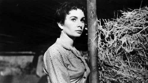 Eine Kugel wartet Bild 4