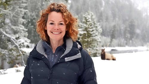 Yellowstone: Wildest Winter to Blazing Summer Bild 1