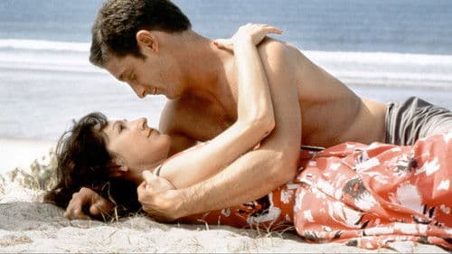 Ein Sommer an der See Bild 2